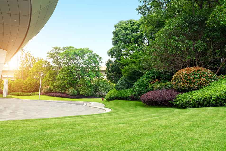Commercial Facility Landscaping Services